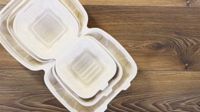 caserole unica folosinta snick ambalaje